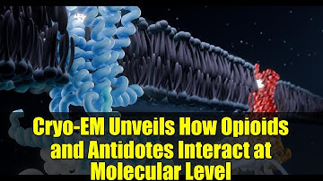 Cryo-EM Unveils How Opioids and Antidotes Interact at Molecular Level