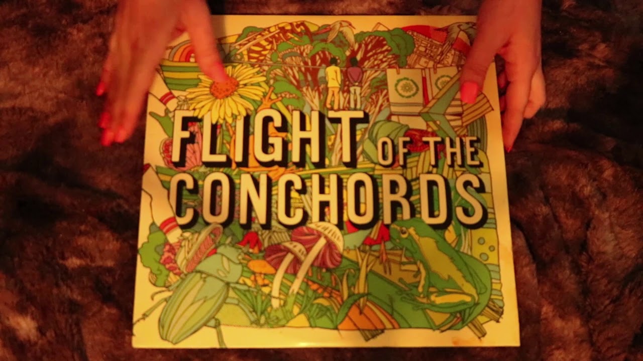 ALBUM COLLECTION ASMR