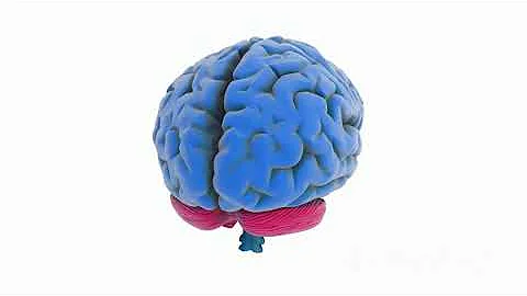 Decoding the Facts: A Deep Dive