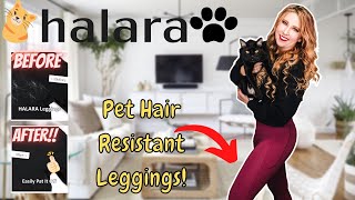 Halara Patitoff PET HAIR RESISTANT LEGGINGS?! Do they WORK? 