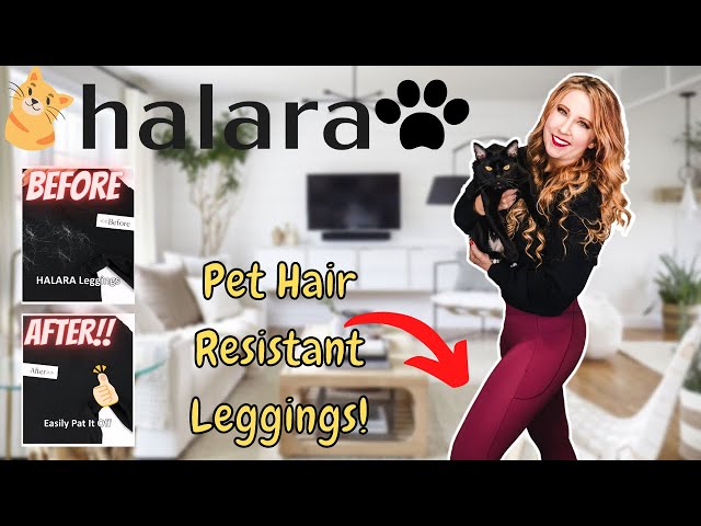 Halara Pet Hair Resistant Leggings