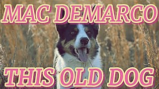 MAC DEMARCO - THIS OLD DOG - ( SUBTITULOS ESPAÑOL / INGLES )