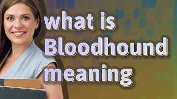 Bloodhound | meaning of Bloodhound