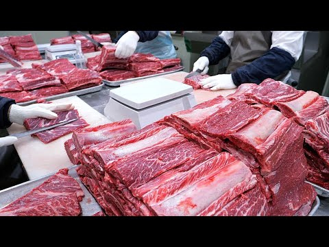 Amazing Knife Skills How To Make King Beef Ribs LA Galbi Korean Food