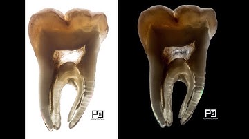CROSS POLARIZATION | PACO CASTANEDA