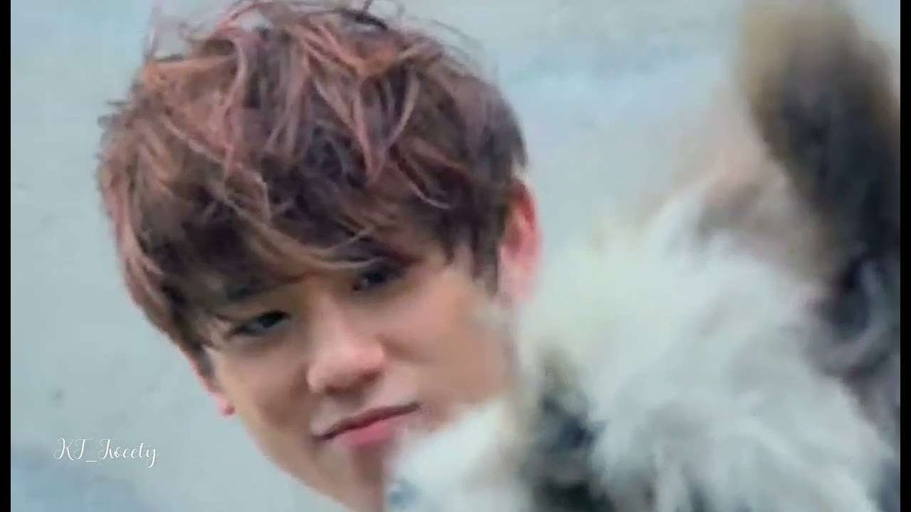 姜濤 It's for you，亜特蘭提斯的國語版，是姜濤自己作詞的，因種種原因，這首歌到現在沒有正式推出。