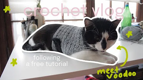 Adorable Cat gets a Custom Crocheted Sweater!