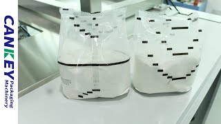 1-2KG Corn Flour Packing Machine/ Maize Flour Packaging Machine