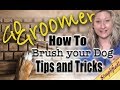 How to brush your dog-Tips and Tricks