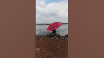 Em câu cá đập thiên nhiên bà rịa vũng Tàu #cauca