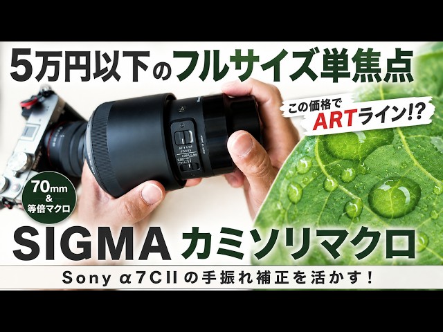 Enjoy Photography Without Leaving Home! The Cheapest Full-Frame