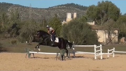 grid work with vertical jumps