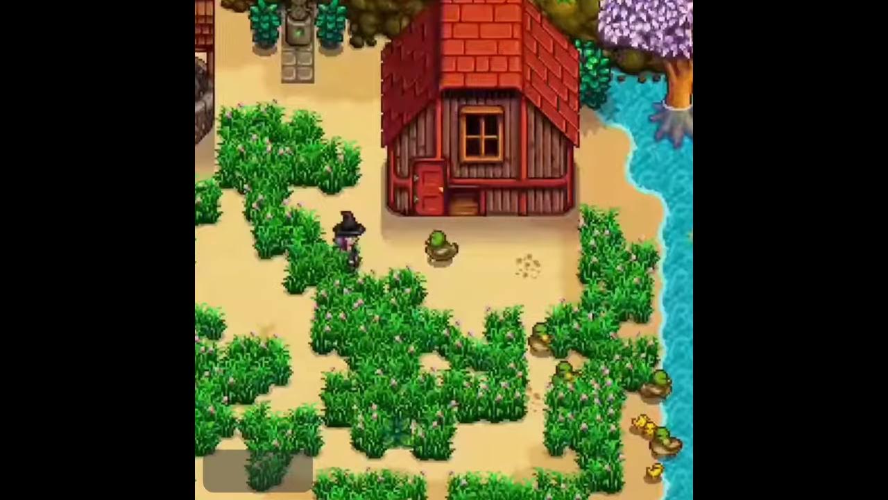 Ducks can now finally swim on the water in Stardew Valley YouTube