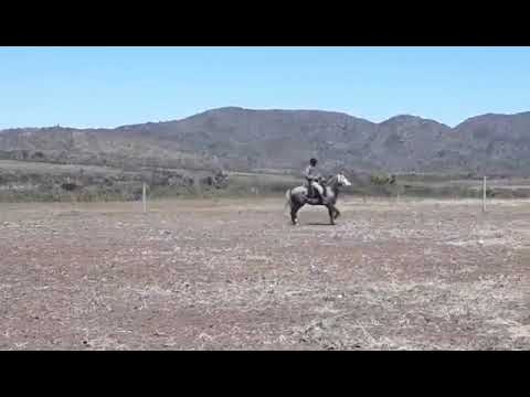 LOTE 32 - JANGADEIRO DA CHAPADA DAS ALMAS