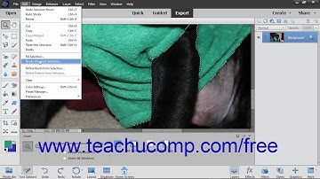 Photoshop Elements 2019 Tutorial Stroking Adobe Training