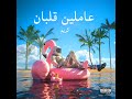 3AMLEEN QALABAN KAR1M عاملين قلبان كريم 3AMLEEN QALABAN KAR1M عاملين قلبان كريم