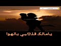 عمرو دياب حبيبي يامالك قلبي بالهوا خدني معاك خدني مع كلمات