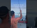 I Remember My 10 5 My Trophy Is A Pike Perch What Is Your Maximum I Remember My 10 5 My Trophy Is A Pike Perch What Is Your Maximum