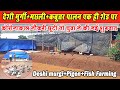 देशी मुर्गी+मछली पालन+कबूतर पालन एक ही शेड पर पार्ट 2। deshi murgi+fish farming+pigen Farming cg 2