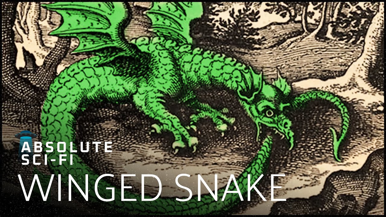 The Bizarre Stories About The Dragon-Like Beast: Tatzelwurm