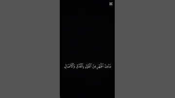 القران الكريم المصحف اكسبلور الشيخ ياسر الدوسري تلاوة جميلة تلاوة خاشعة 