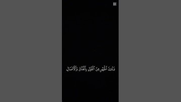 #القران_الكريم #المصحف #اكسبلور #الشيخ_ياسر_الدوسري #تلاوة_جميلة #تلاوة_خاشعة