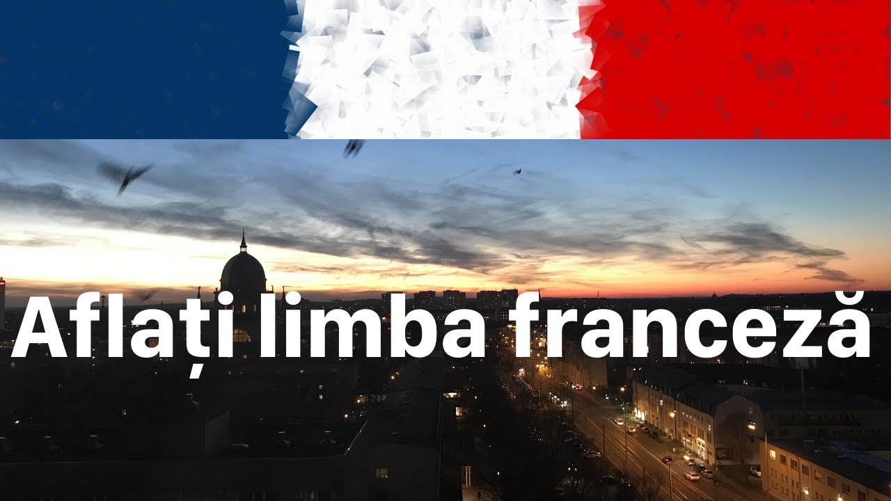 Aflați limba franceză în timpul somnului (aproape) - propoziții în franceză camera iphone 8 plus apk