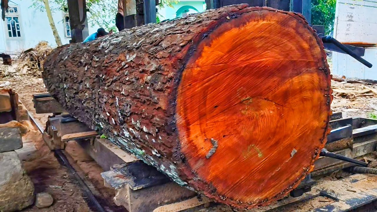 the extraordinary process of transforming old wood into sharp and elegant textures in the sawmill
