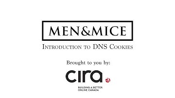Chapter 1: introduction to DNS cookies