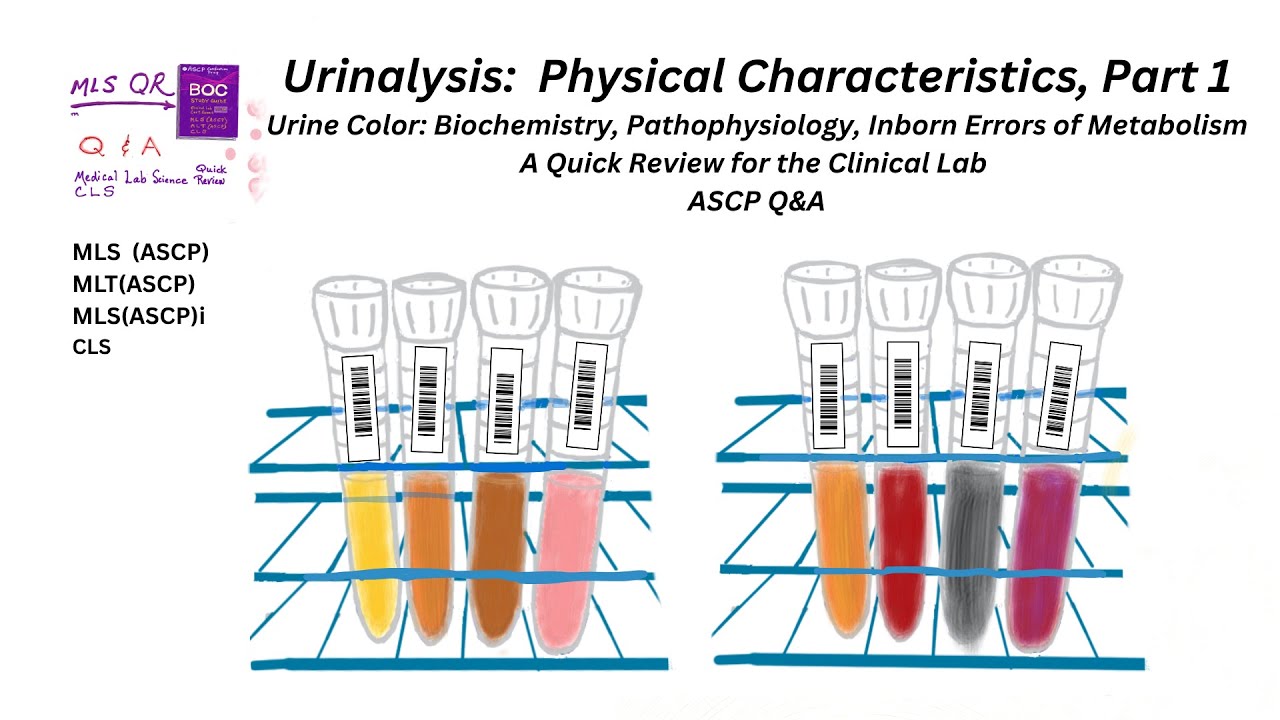 Urinalysis--Physical Characteristics for the Clinical Lab