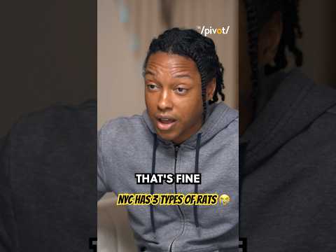 Josh Johnson comedian breaks down 3 types of rats we see and says Crocs are unacceptable in NYC😭