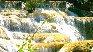 Relaxing Music With Nature Sounds: Healing Music, Water Streams for Stress Relief and Mind Stability