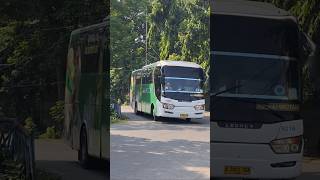 naik bus damri #bandara #busmania #bus #telolet #basuri #damri