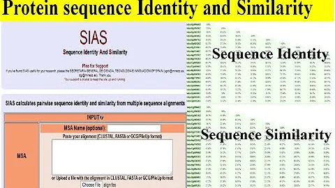 How to find protein identity and similarities | Se...