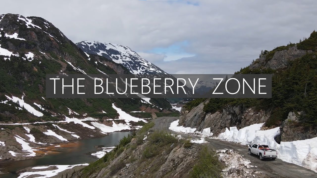 News Release The Blueberry Zone 02/17/2021 YouTube