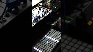 #buchla #digitakt #oxione #chasebliss #electronicmusic #session