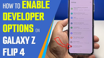 How To Enable Developer Options On Samsung Galaxy Z Flip 4