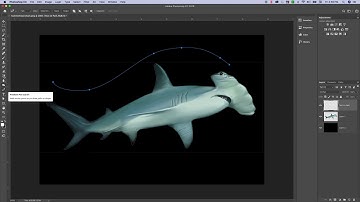 Photoshop Quick Tip Text on a Path