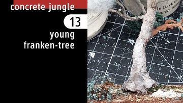 093: Young Franken-tree : tree experiments for model railways