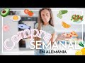 🧀🥬🍒 MI COMPRA SEMANAL en ALEMANIA 🧀🥬🍒 Haul comida supermercado Alemán Aldi, Lidl, DM