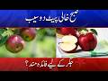 Eating Two Apples on Empty Stomach — Good for Liver? | Din News HD #breakingnews