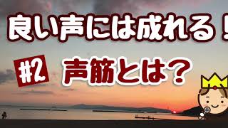 良い声には成れる！　#2  声筋とは？