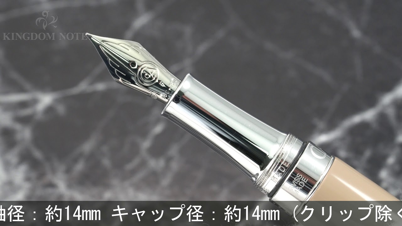 カランダッシュ レマン カシミア Caran d'Ache CARAN d'ACHE カランダッシュ 万年筆 レマンコレクション バイカラー