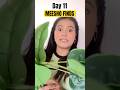 DAY 11 MEESHO FIND - fake plant worth buying ???#youtubeshorts #shorts #meesho