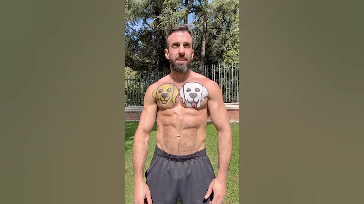 Video 11005541: cat live lovely, cat dog love, funny pets