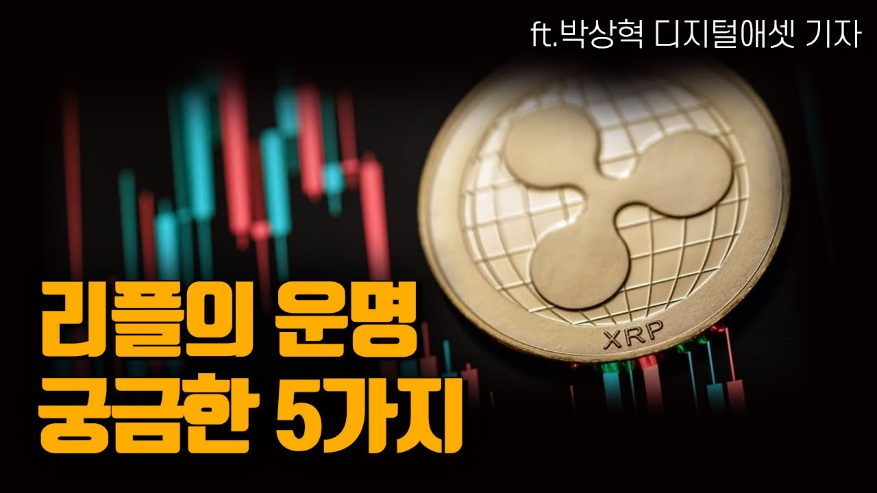 리플의 운명, 궁금한 5가지/ 8월 코인 시장 전망은?/ ‘홍콩빔’인 줄 알았는데 ‘상기의 난’ 인가요? ft.박상혁 디지털애셋 기자