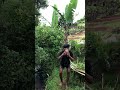 spott mancing mantap #mancing