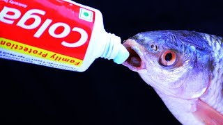 6 Amazing LIFE HACKS for TOOTHPASTE