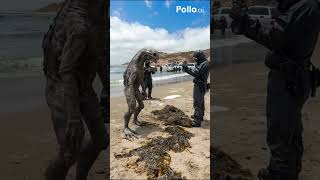 Download Lagu part164:mysterious  Alien First Contact | Stunning Sci-Fi Animation MP3