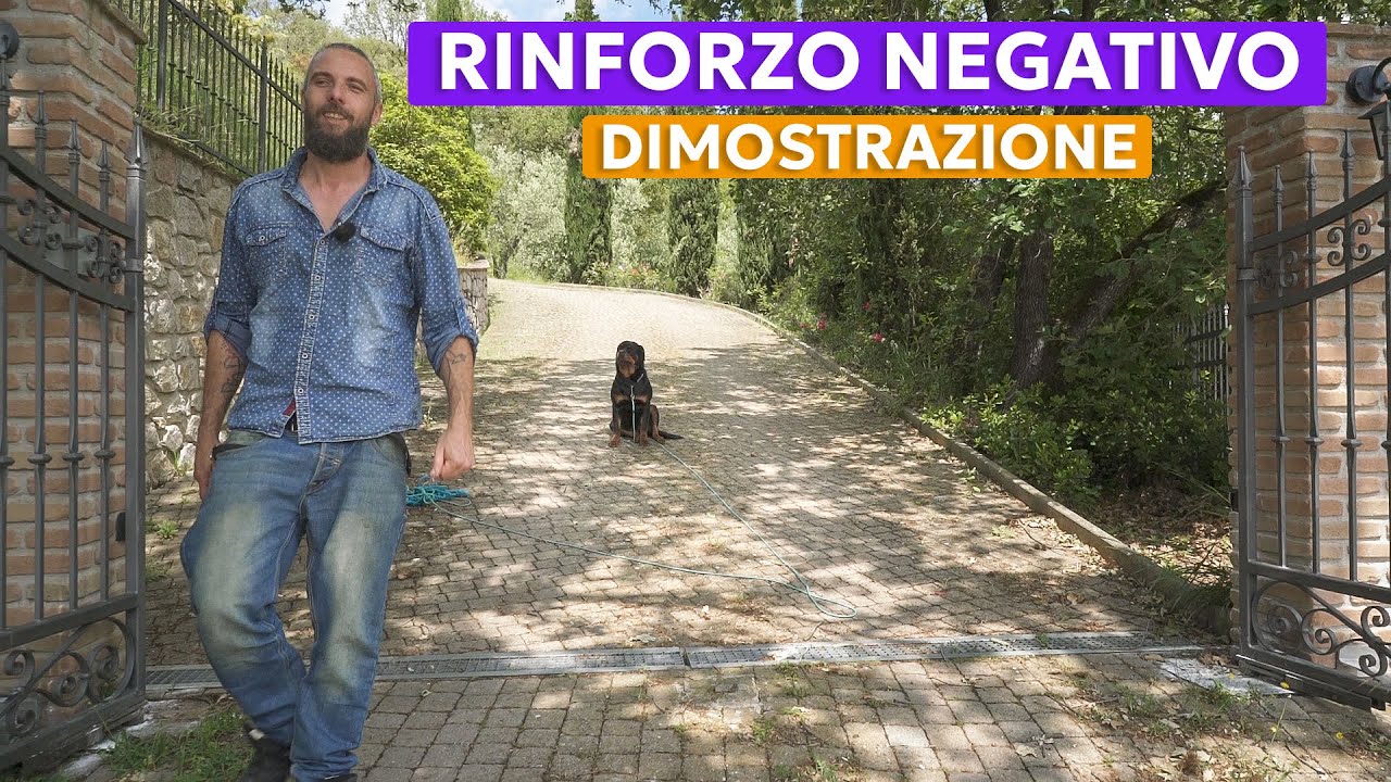 INSEGNO AD UN CANE A NON USCIRE DAL CANCELLO